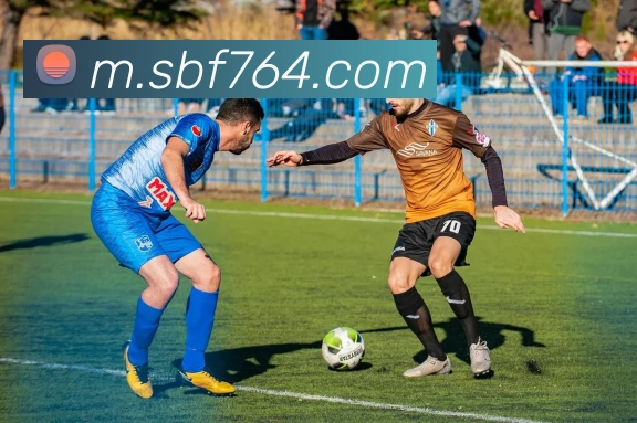 奖项证书